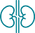 Foot with nerves icon