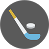 Hockey stick and puck